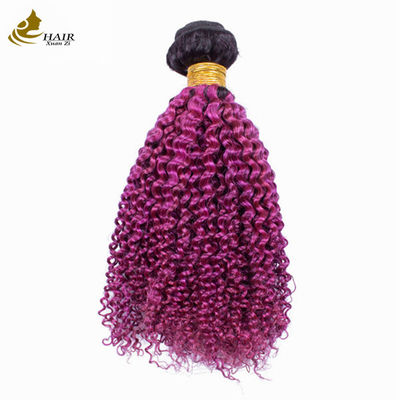 Afro Kinky Curly Root Dark Purple Ombre Virgin Human Hair Bundles para venda