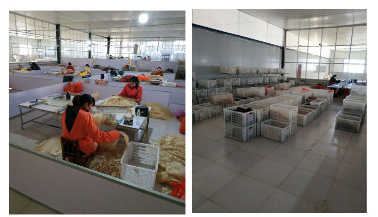 Jinan Xuanzi Human Hair Limited Company