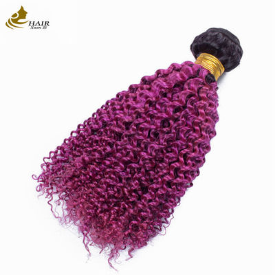 Afro Kinky Curly Root Dark Purple Ombre Virgin Human Hair Bundles para venda