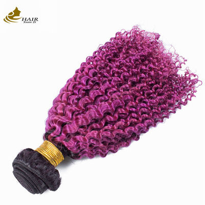 Afro Kinky Curly Root Dark Purple Ombre Virgin Human Hair Bundles para venda